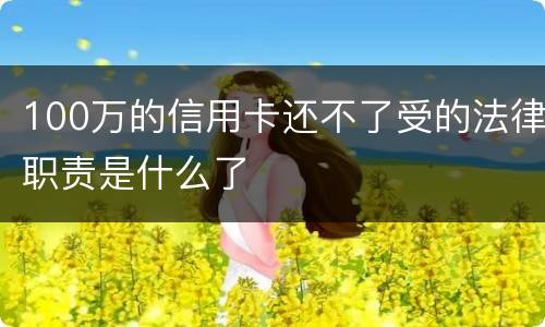 100万的信用卡还不了受的法律职责是什么了