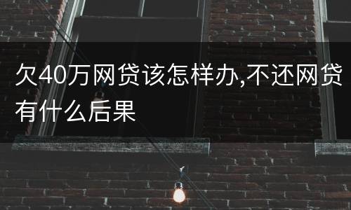 欠40万网贷该怎样办,不还网贷有什么后果