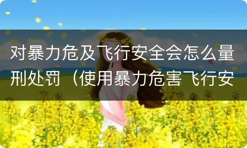 对暴力危及飞行安全会怎么量刑处罚（使用暴力危害飞行安全罪的主要特征）