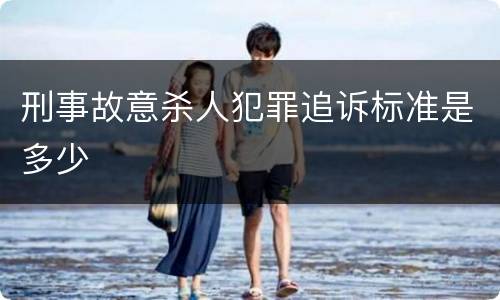 刑事故意杀人犯罪追诉标准是多少