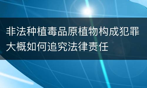 非法种植毒品原植物构成犯罪大概如何追究法律责任