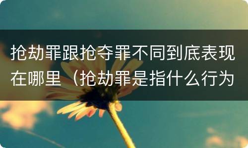 抢劫罪跟抢夺罪不同到底表现在哪里（抢劫罪是指什么行为?）