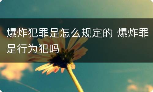 爆炸犯罪是怎么规定的 爆炸罪是行为犯吗