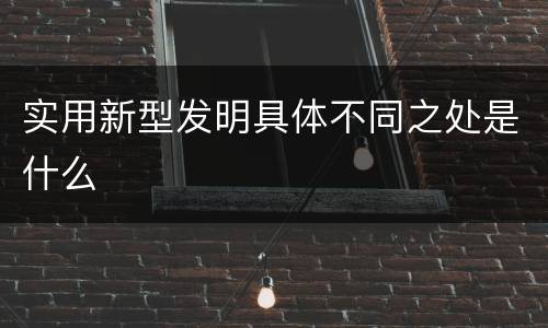 实用新型发明具体不同之处是什么