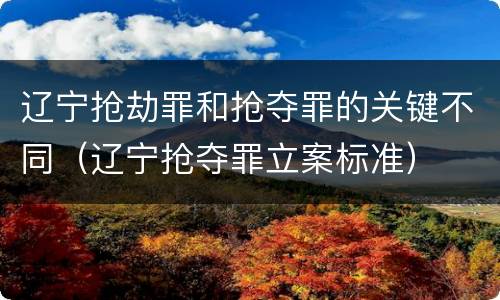 辽宁抢劫罪和抢夺罪的关键不同（辽宁抢夺罪立案标准）