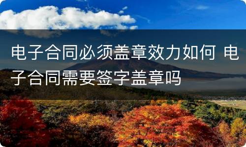 电子合同必须盖章效力如何 电子合同需要签字盖章吗