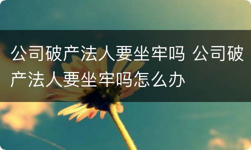 公司破产法人要坐牢吗 公司破产法人要坐牢吗怎么办