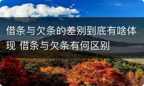 借条与欠条的差别到底有啥体现 借条与欠条有何区别