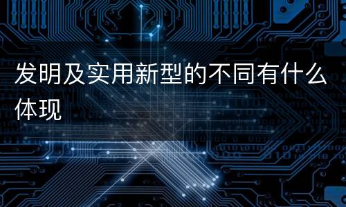 发明及实用新型的不同有什么体现