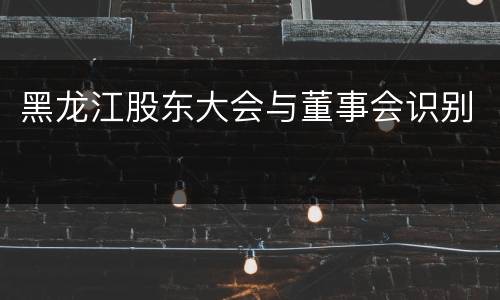 黑龙江股东大会与董事会识别
