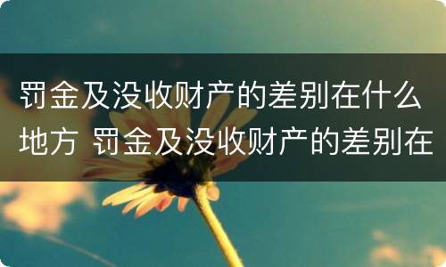 罚金及没收财产的差别在什么地方 罚金及没收财产的差别在什么地方可以查到