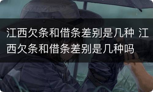江西欠条和借条差别是几种 江西欠条和借条差别是几种吗