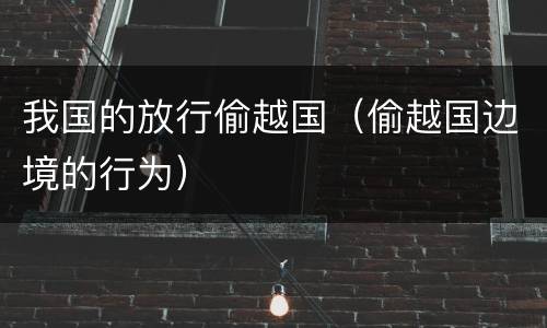我国的放行偷越国（偷越国边境的行为）