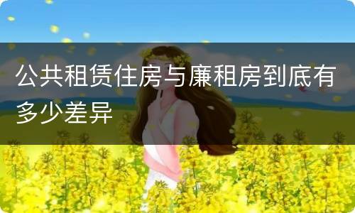 公共租赁住房与廉租房到底有多少差异