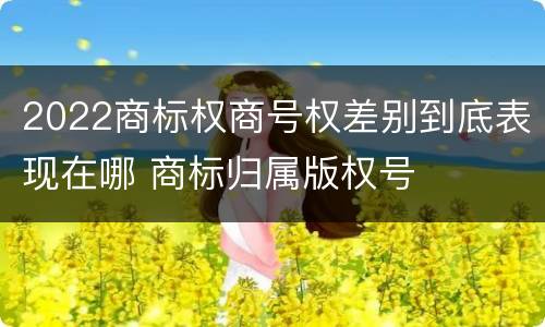 2022商标权商号权差别到底表现在哪 商标归属版权号