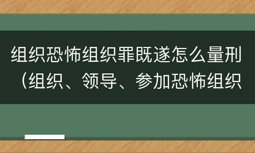 组织恐怖组织罪既遂怎么量刑（组织、领导、参加恐怖组织罪）