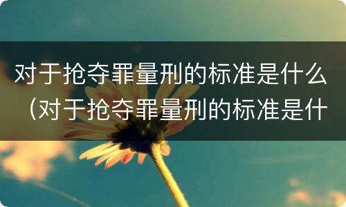 对于抢夺罪量刑的标准是什么（对于抢夺罪量刑的标准是什么呢）