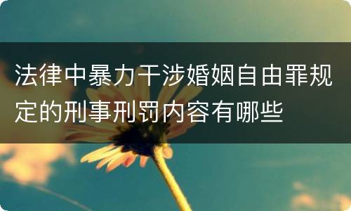 法律中暴力干涉婚姻自由罪规定的刑事刑罚内容有哪些