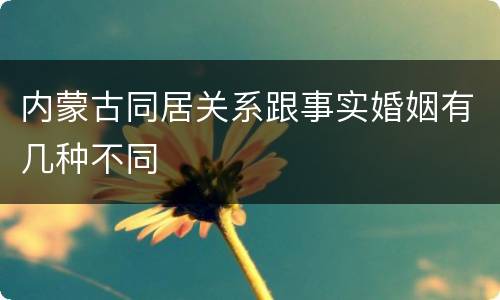 内蒙古同居关系跟事实婚姻有几种不同