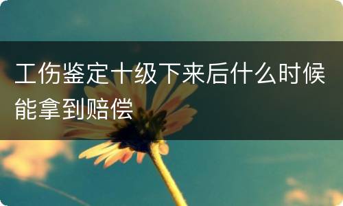 工伤鉴定十级下来后什么时候能拿到赔偿