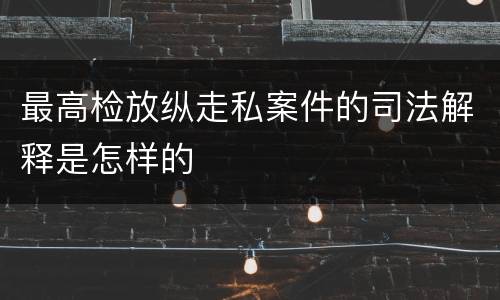最高检放纵走私案件的司法解释是怎样的