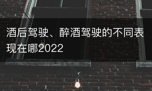 酒后驾驶、醉酒驾驶的不同表现在哪2022