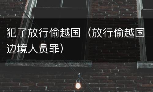 犯了放行偷越国（放行偷越国边境人员罪）