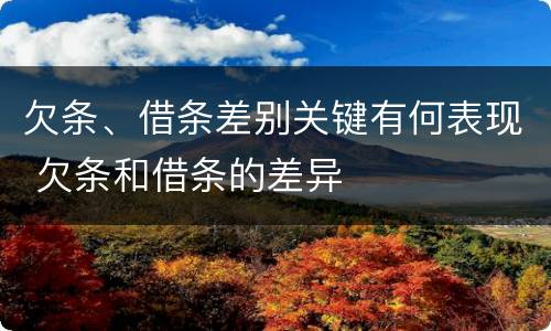欠条、借条差别关键有何表现 欠条和借条的差异