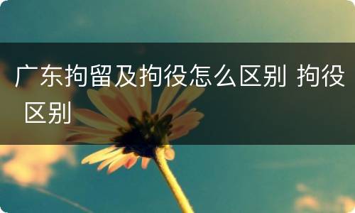 广东拘留及拘役怎么区别 拘役 区别
