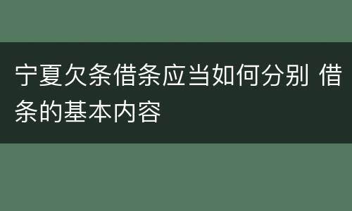 宁夏欠条借条应当如何分别 借条的基本内容