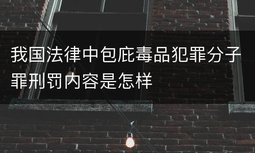 我国法律中包庇毒品犯罪分子罪刑罚内容是怎样