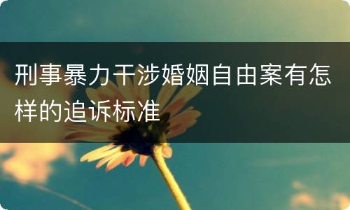 刑事暴力干涉婚姻自由案有怎样的追诉标准