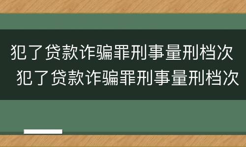 犯了贷款诈骗罪刑事量刑档次 犯了贷款诈骗罪刑事量刑档次怎么判