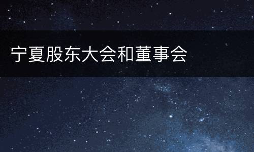 宁夏股东大会和董事会