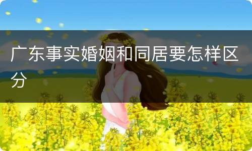 广东事实婚姻和同居要怎样区分