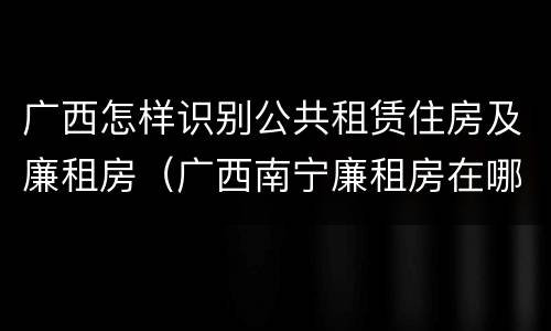 广西怎样识别公共租赁住房及廉租房（广西南宁廉租房在哪个区域）