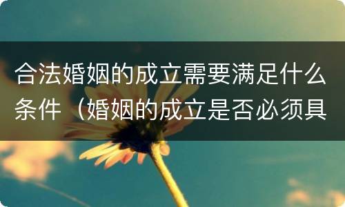 合法婚姻的成立需要满足什么条件（婚姻的成立是否必须具有合法性）