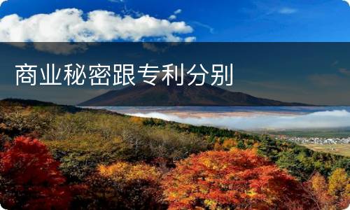 商业秘密跟专利分别