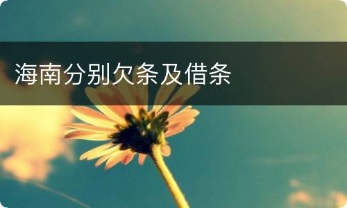 海南分别欠条及借条