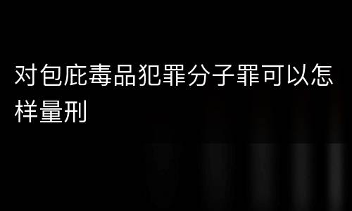 对包庇毒品犯罪分子罪可以怎样量刑
