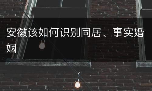 安徽该如何识别同居、事实婚姻