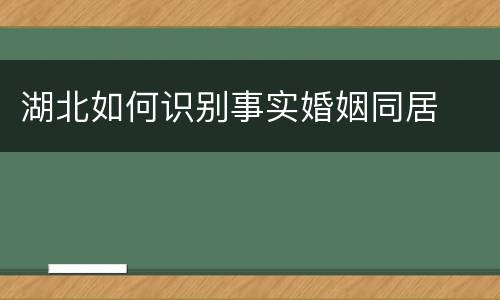 湖北如何识别事实婚姻同居