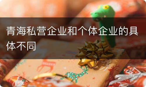 青海私营企业和个体企业的具体不同