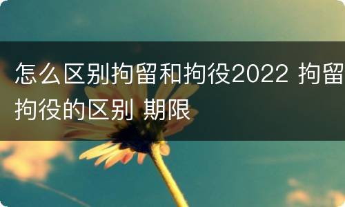 怎么区别拘留和拘役2022 拘留拘役的区别 期限