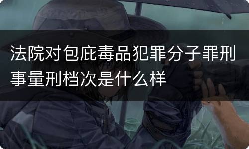 法院对包庇毒品犯罪分子罪刑事量刑档次是什么样
