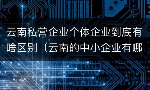 云南私营企业个体企业到底有啥区别（云南的中小企业有哪些）