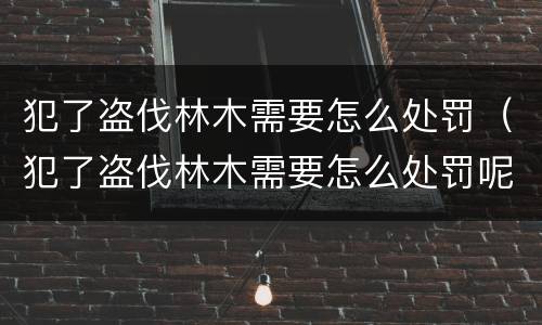 犯了盗伐林木需要怎么处罚（犯了盗伐林木需要怎么处罚呢）