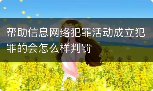 帮助信息网络犯罪活动成立犯罪的会怎么样判罚