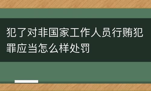 犯了对非国家工作人员行贿犯罪应当怎么样处罚
