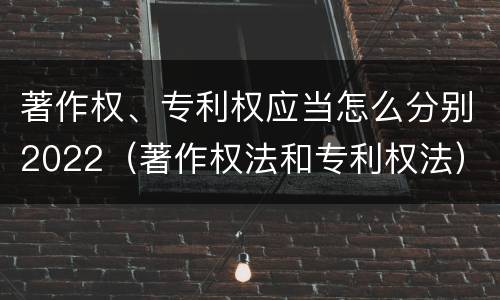 著作权、专利权应当怎么分别2022（著作权法和专利权法）